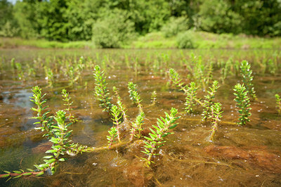 BUITEN BEELD Foto: 187674