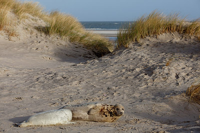 BUITEN BEELD Foto: 187768