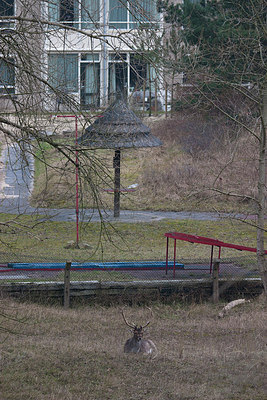 BUITEN BEELD Foto: 187776