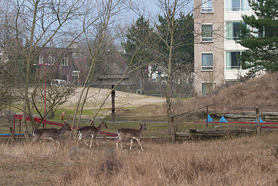 BUITEN BEELD Foto: 187782