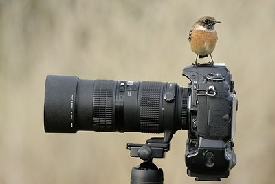 BUITEN BEELD Foto: 187813