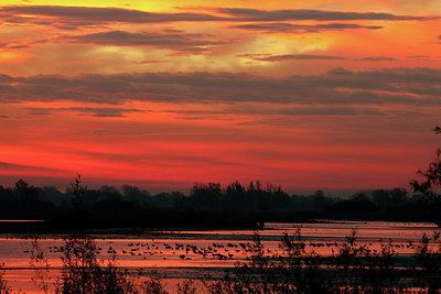 BUITEN BEELD Foto: 187896