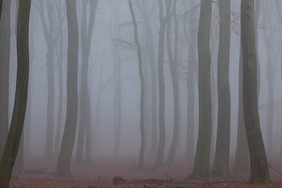 BUITEN BEELD Foto: 187899