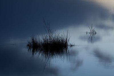 BUITEN BEELD Foto: 187926