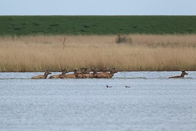 BUITEN BEELD Foto: 188015