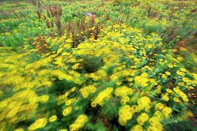 BUITEN BEELD Foto: 188086