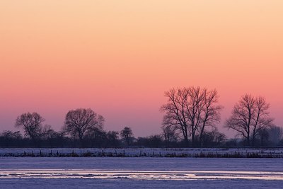 BUITEN BEELD Foto: 188098