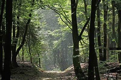 BUITEN BEELD Foto: 188260