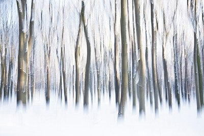 BUITEN BEELD Foto: 188439
