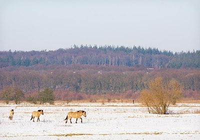 BUITEN BEELD Foto: 188452