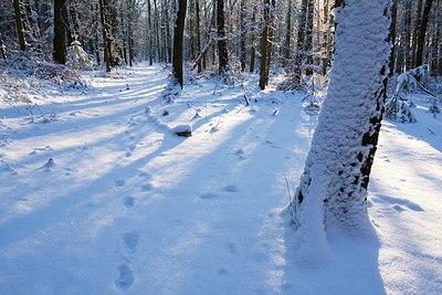 BUITEN BEELD Foto: 188462