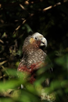 BUITEN BEELD Foto: 188476