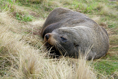 BUITEN BEELD Foto: 188487