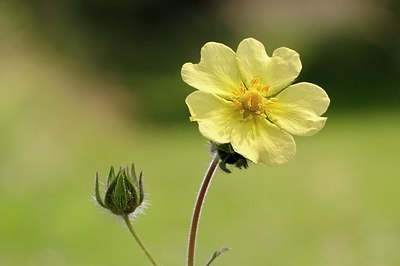 BUITEN BEELD Foto: 188510