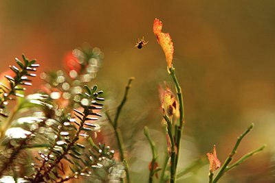 BUITEN BEELD Foto: 188532