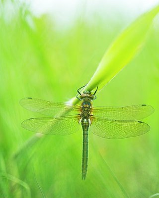 BUITEN BEELD Foto: 188555