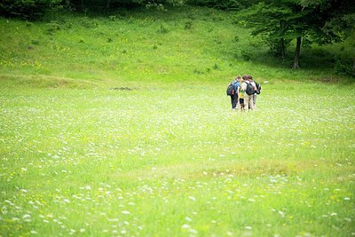 BUITEN BEELD Foto: 188565