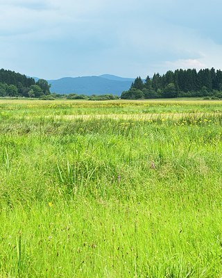 BUITEN BEELD Foto: 188571