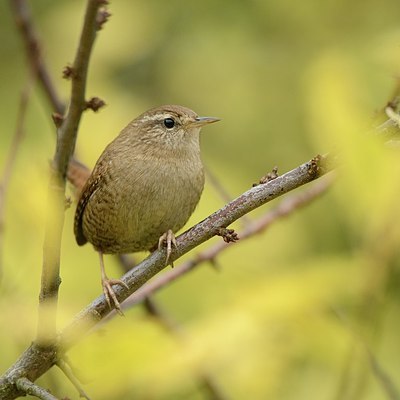 BUITEN BEELD Foto: 188574