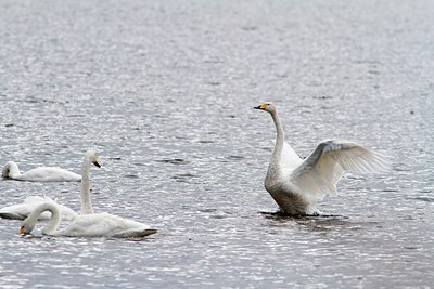 BUITEN BEELD Foto: 188654