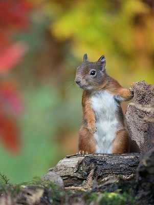 BUITEN BEELD Foto: 188764