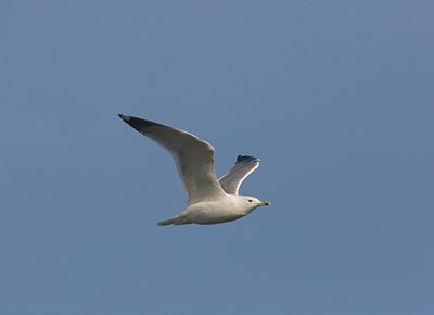 BUITEN BEELD Foto: 18035