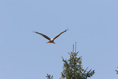 BUITEN BEELD Foto: 18044