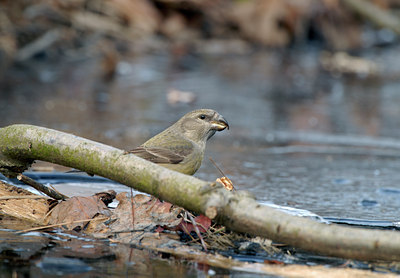 BUITEN BEELD Foto: 18079