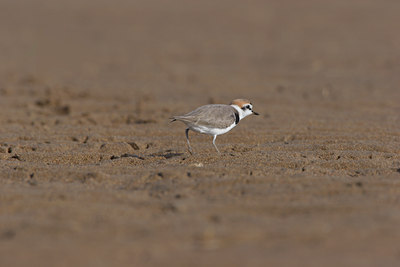 BUITEN BEELD Foto: 18083