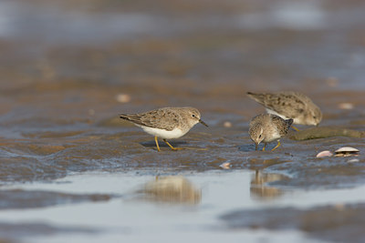 BUITEN BEELD Foto: 18091