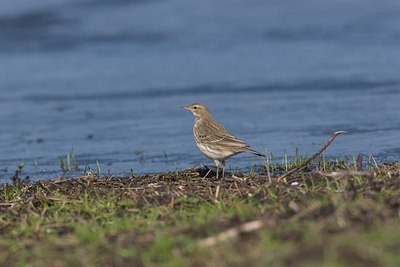 BUITEN BEELD Foto: 18134