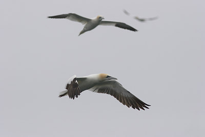 BUITEN BEELD Foto: 18161