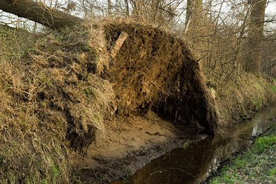 BUITEN BEELD Foto: 18178