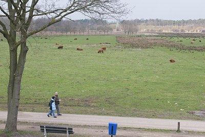 BUITEN BEELD Foto: 18187