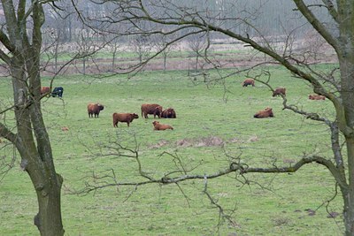 BUITEN BEELD Foto: 18198