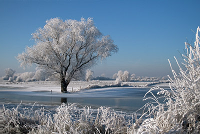 BUITEN BEELD Foto: 18248