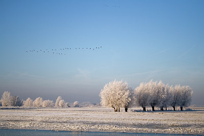 BUITEN BEELD Foto: 18249