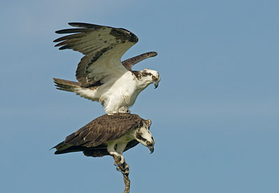 BUITEN BEELD Foto: 18297