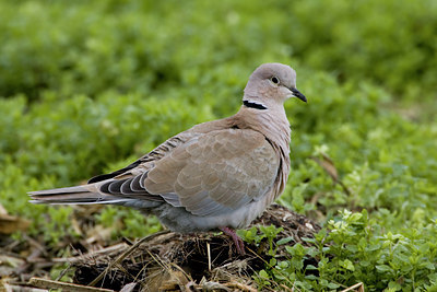 BUITEN BEELD Foto: 18342