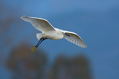 BUITEN BEELD Foto: 18436