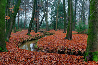 BUITEN BEELD Foto: 18458