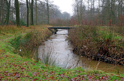 BUITEN BEELD Foto: 18465