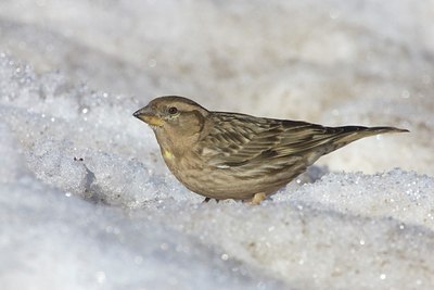 BUITEN BEELD Foto: 18468