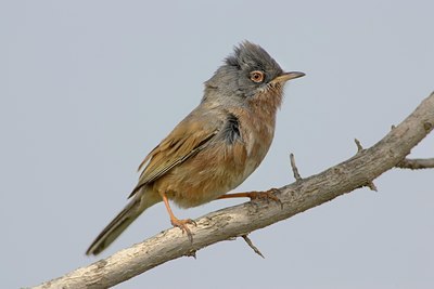 BUITEN BEELD Foto: 18505
