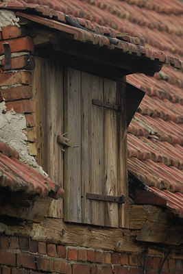 BUITEN BEELD Foto: 18530