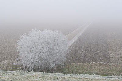 BUITEN BEELD Foto: 18540