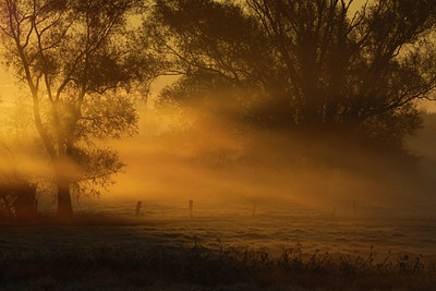 BUITEN BEELD Foto: 18548