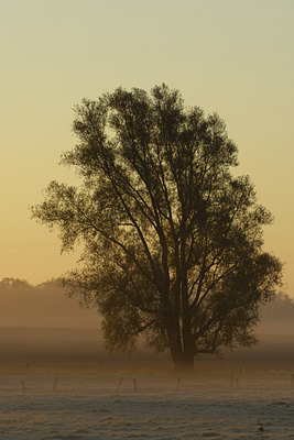 BUITEN BEELD Foto: 18550