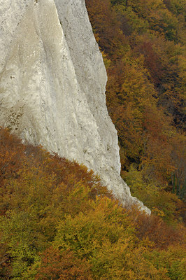 BUITEN BEELD Foto: 18556