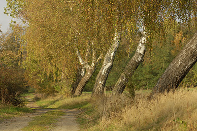 BUITEN BEELD Foto: 18562